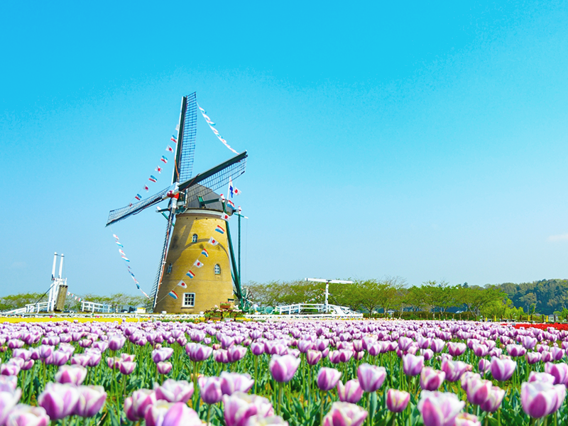 さくらふるさと広場